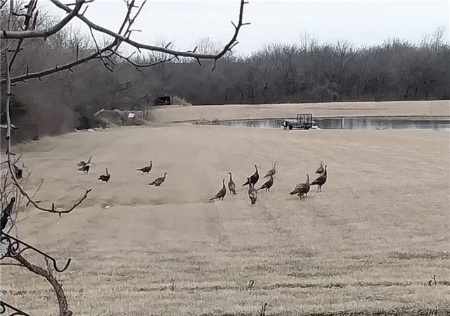 3762 Thomas Rd Thomas Road, Wellsville, KS 66092