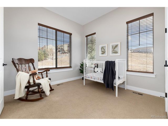 372 Castlemaine Ct, Castle Rock, CO 80104