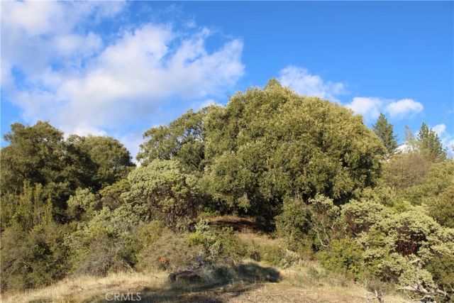 14087 Nimshew, Magalia, CA 95954