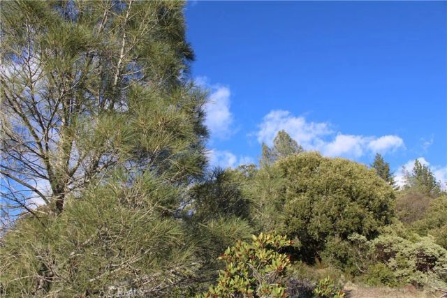 14087 Nimshew, Magalia, CA 95954