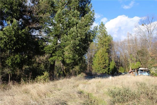 14087 Nimshew, Magalia, CA 95954