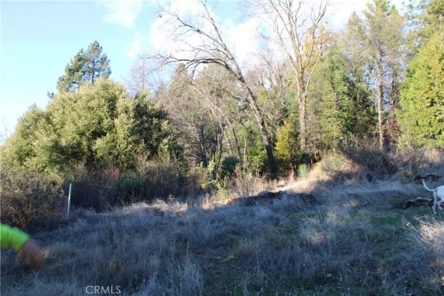 14087 Nimshew, Magalia, CA 95954