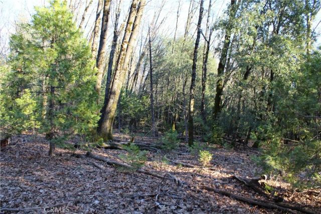 14087 Nimshew, Magalia, CA 95954