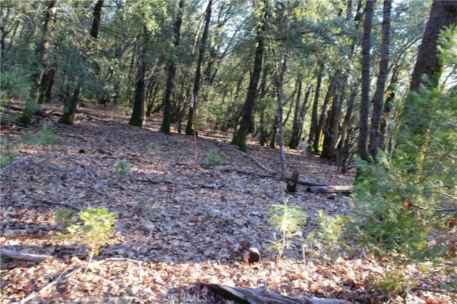 14087 Nimshew, Magalia, CA 95954