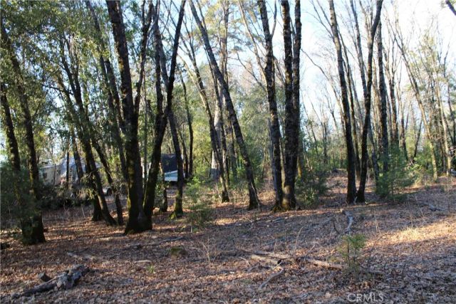 14087 Nimshew, Magalia, CA 95954