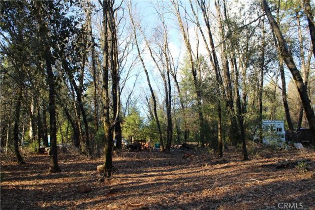 14087 Nimshew, Magalia, CA 95954