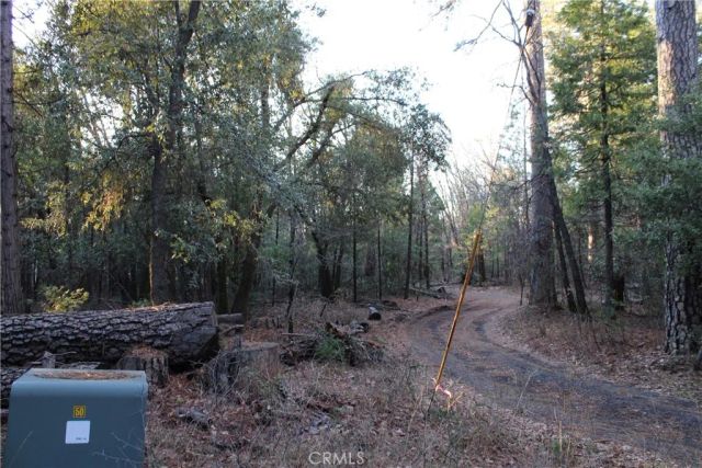 14087 Nimshew, Magalia, CA 95954