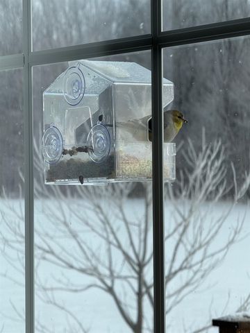 86 Reynolds Road, Grand Isle, VT 05458