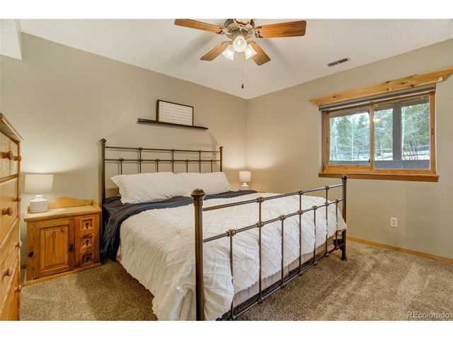 1011 W South Ave, Woodland Park, CO 80863