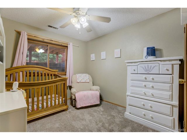 1011 W South Ave, Woodland Park, CO 80863