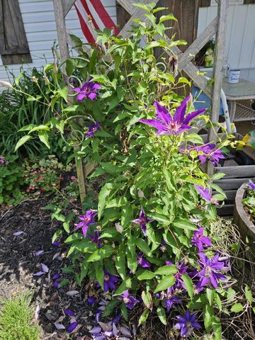 1618 Quaker Church Road, Bedford, VA 24523