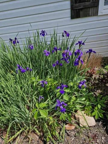 1618 Quaker Church Road, Bedford, VA 24523