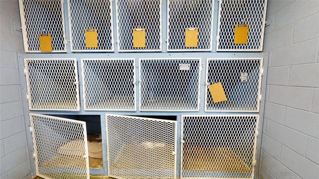 14100 Fm-2853, Palacios, TX 77465