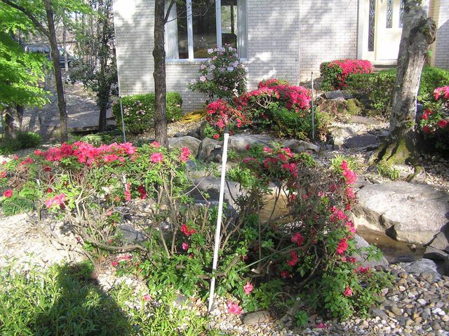 9 Lazo Place, Hot Springs Village, AR 71909