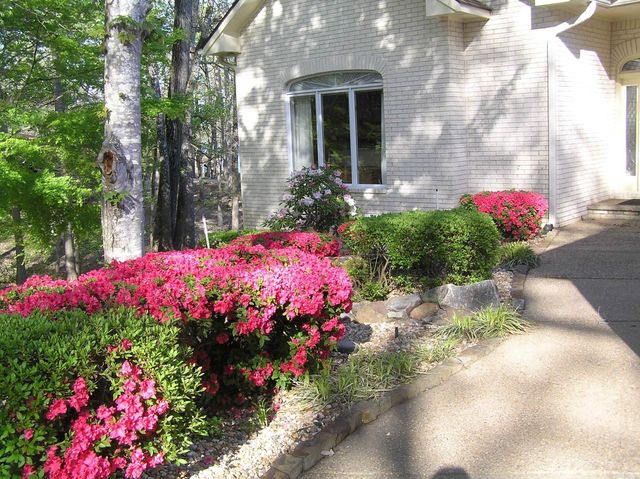 9 Lazo Place, Hot Springs Village, AR 71909