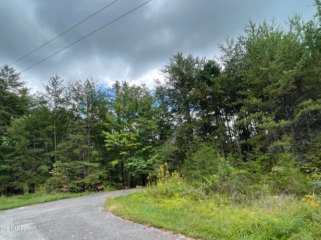 0 Sassafras Trail Trail, Sevierville, TN 37876