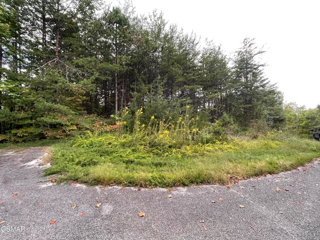 0 Sassafras Trail Trail, Sevierville, TN 37876