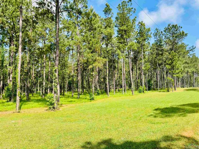1346 W County Road 481, Henderson, TX 75654