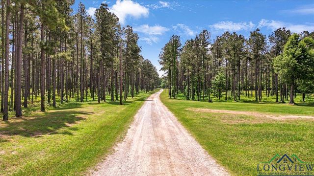1346 W County Road 481, Henderson, TX 75654