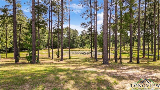 1346 W County Road 481, Henderson, TX 75654
