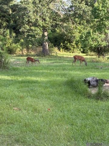 TBD La Hwy 22, Springfield, LA 70462