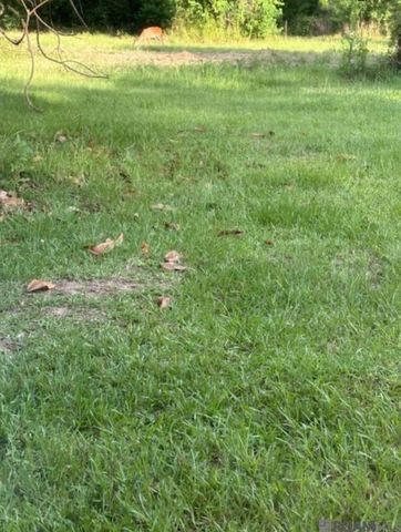 TBD La Hwy 22, Springfield, LA 70462