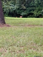 TBD La Hwy 22, Springfield, LA 70462