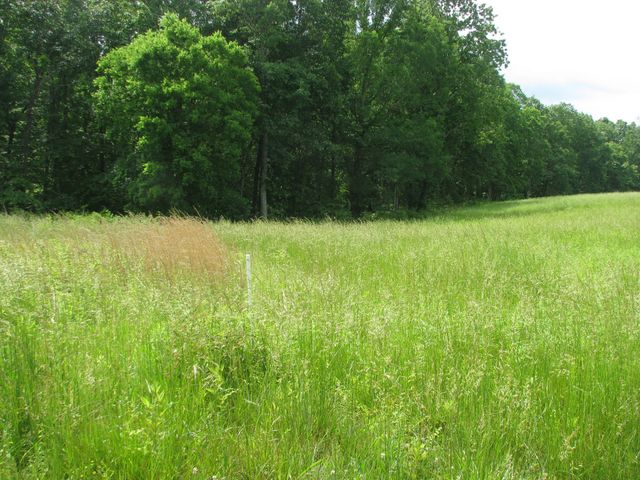 0 Barge Lane, Waverly, TN 37185