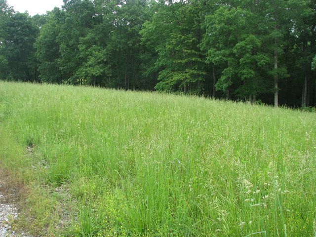 0 Barge Lane, Waverly, TN 37185