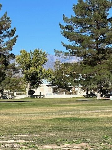 3161 Burning Tree Court, Pahrump, NV 89048