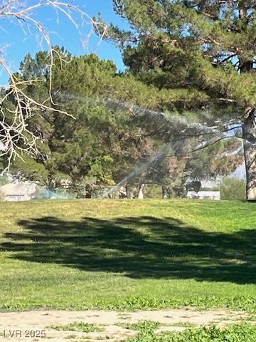 3161 Burning Tree Court, Pahrump, NV 89048