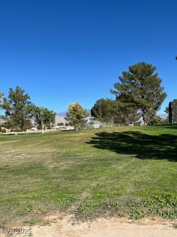 3161 Burning Tree Court, Pahrump, NV 89048