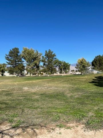 3161 Burning Tree Court, Pahrump, NV 89048