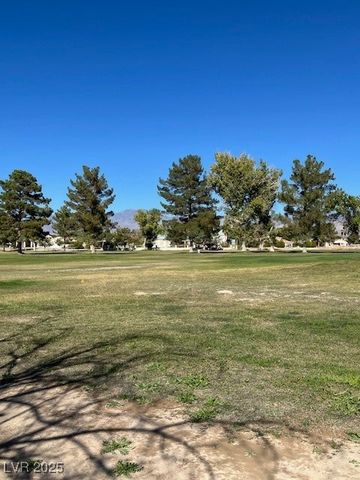 3161 Burning Tree Court, Pahrump, NV 89048