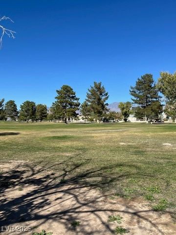 3161 Burning Tree Court, Pahrump, NV 89048