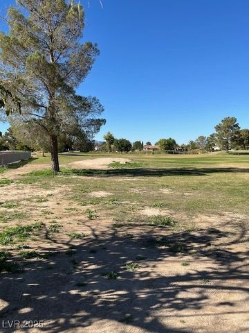 3161 Burning Tree Court, Pahrump, NV 89048