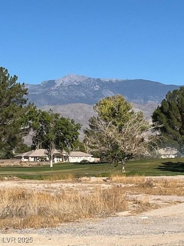 3161 Burning Tree Court, Pahrump, NV 89048