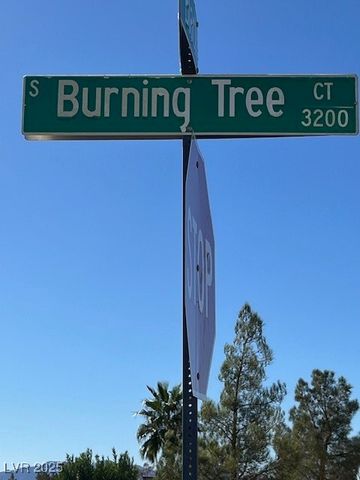 3161 Burning Tree Court, Pahrump, NV 89048