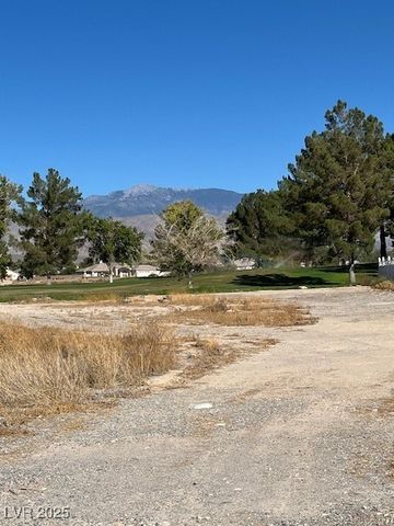 3161 Burning Tree Court, Pahrump, NV 89048