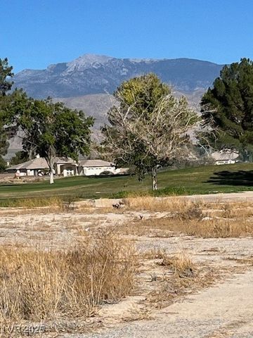 3161 Burning Tree Court, Pahrump, NV 89048