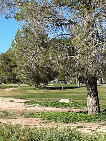 3161 Burning Tree Court, Pahrump, NV 89048