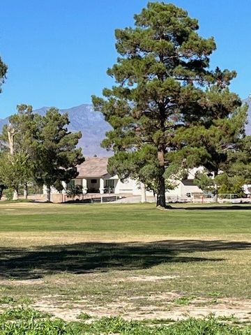 3161 Burning Tree Court, Pahrump, NV 89048