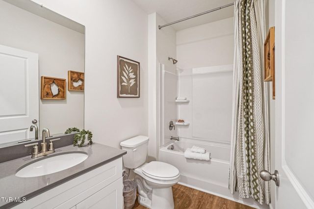 60 Ollie Street, Johnson City, TN 37615