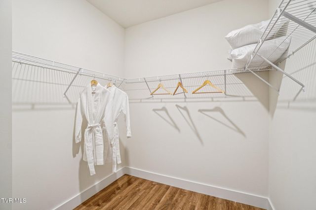 60 Ollie Street, Johnson City, TN 37615