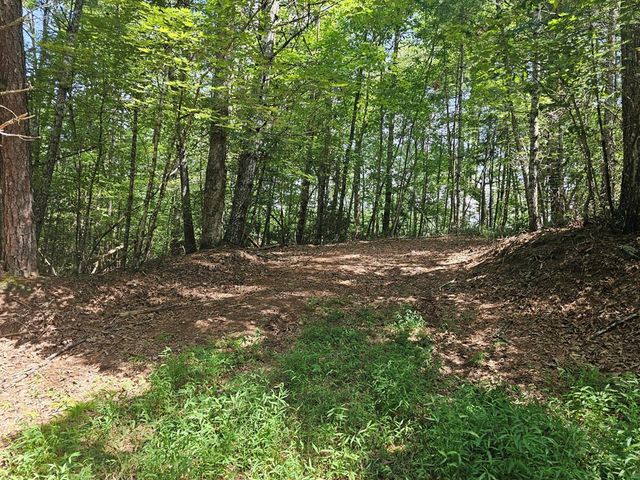 Lot C Nottley Ridge, Murphy, NC 28906