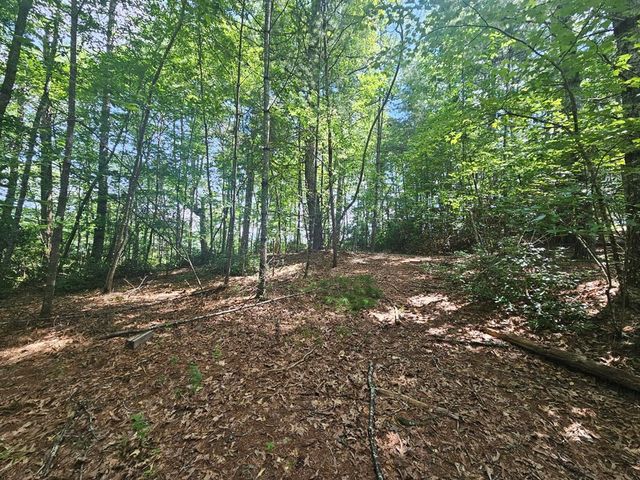 Lot C Nottley Ridge, Murphy, NC 28906
