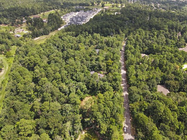 7393 Teaswood Drive, Conroe, TX 77304
