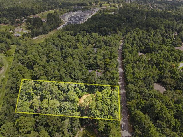 7393 Teaswood Drive, Conroe, TX 77304