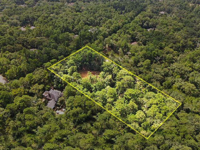 7393 Teaswood Drive, Conroe, TX 77304