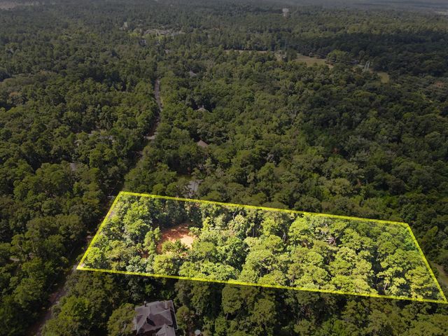 7393 Teaswood Drive, Conroe, TX 77304